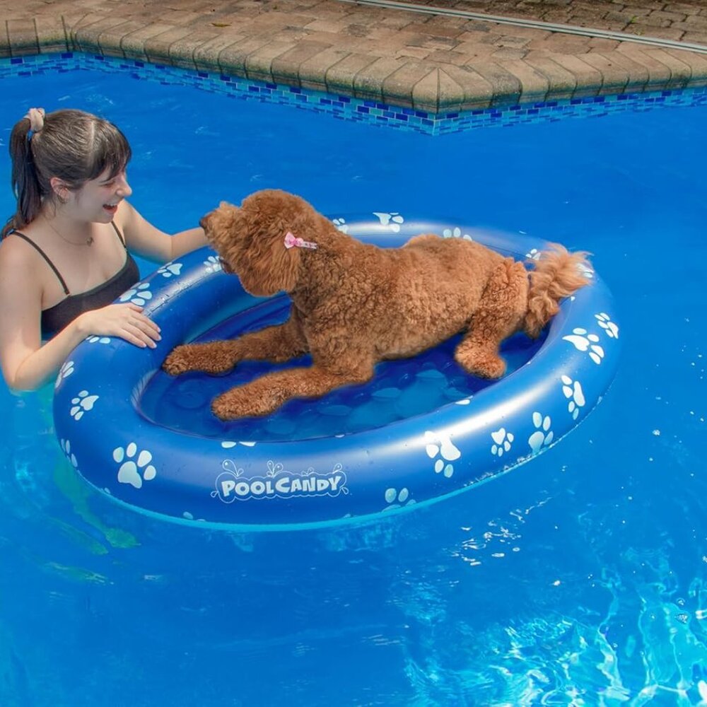 NEW PoolCandy Inflatable Pet Float